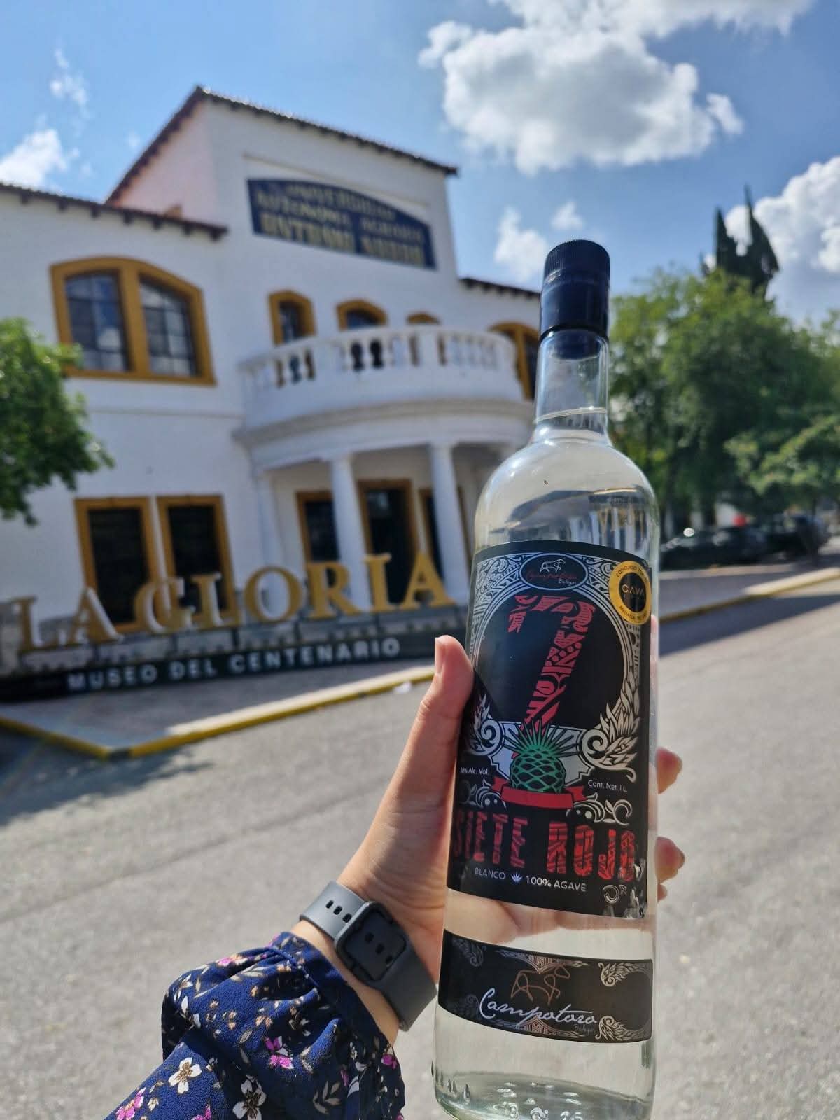 Bodegas Campotoro